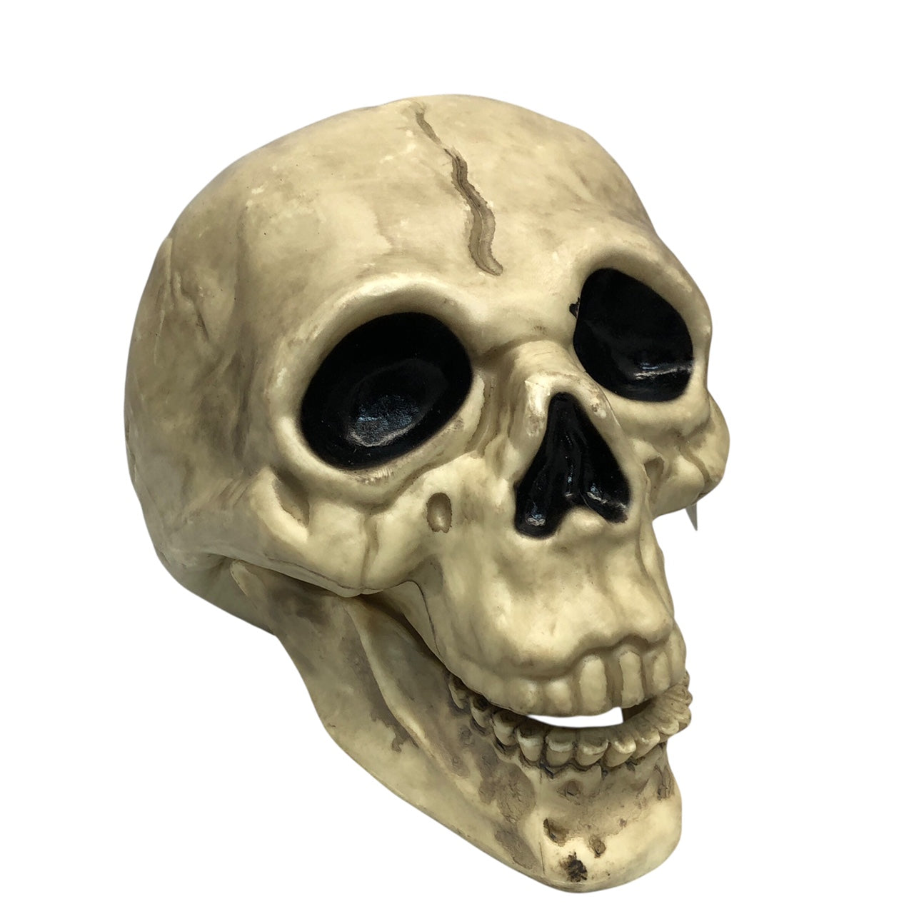 18979 - Spooky Halloween Skull Holiday Decor|Pod 1-10|