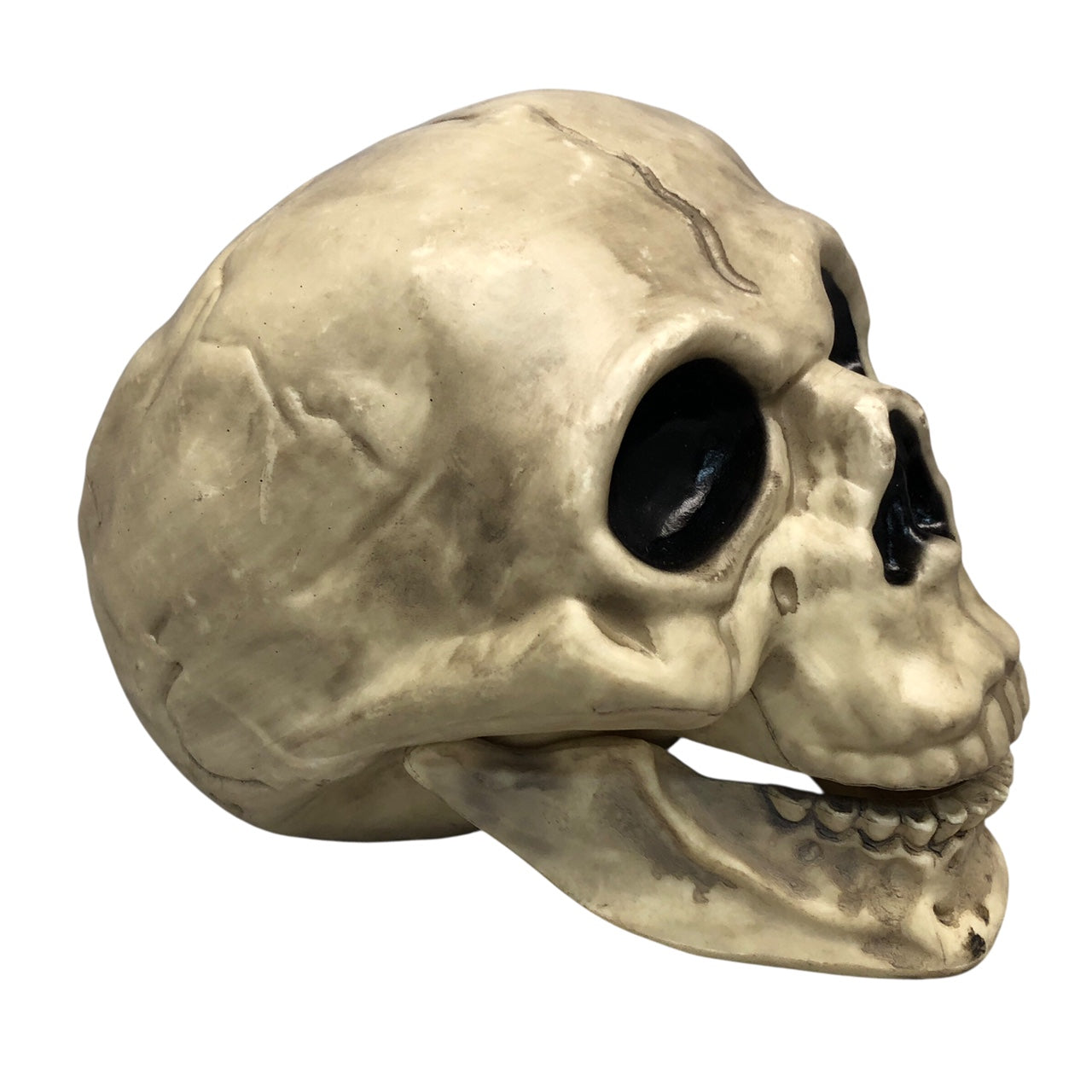 18979 - Spooky Halloween Skull Holiday Decor|Pod 1-10|