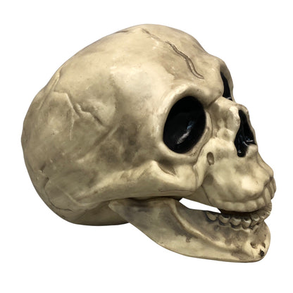 18979 - Spooky Halloween Skull Holiday Decor|Pod 1-10|