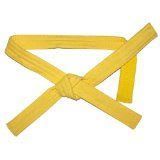 205 - Belt Yellow 1 - |Pod|