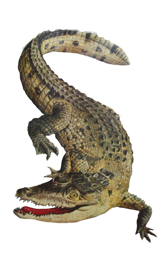 20907 - Alligator Temp Tattoo - [File-24]