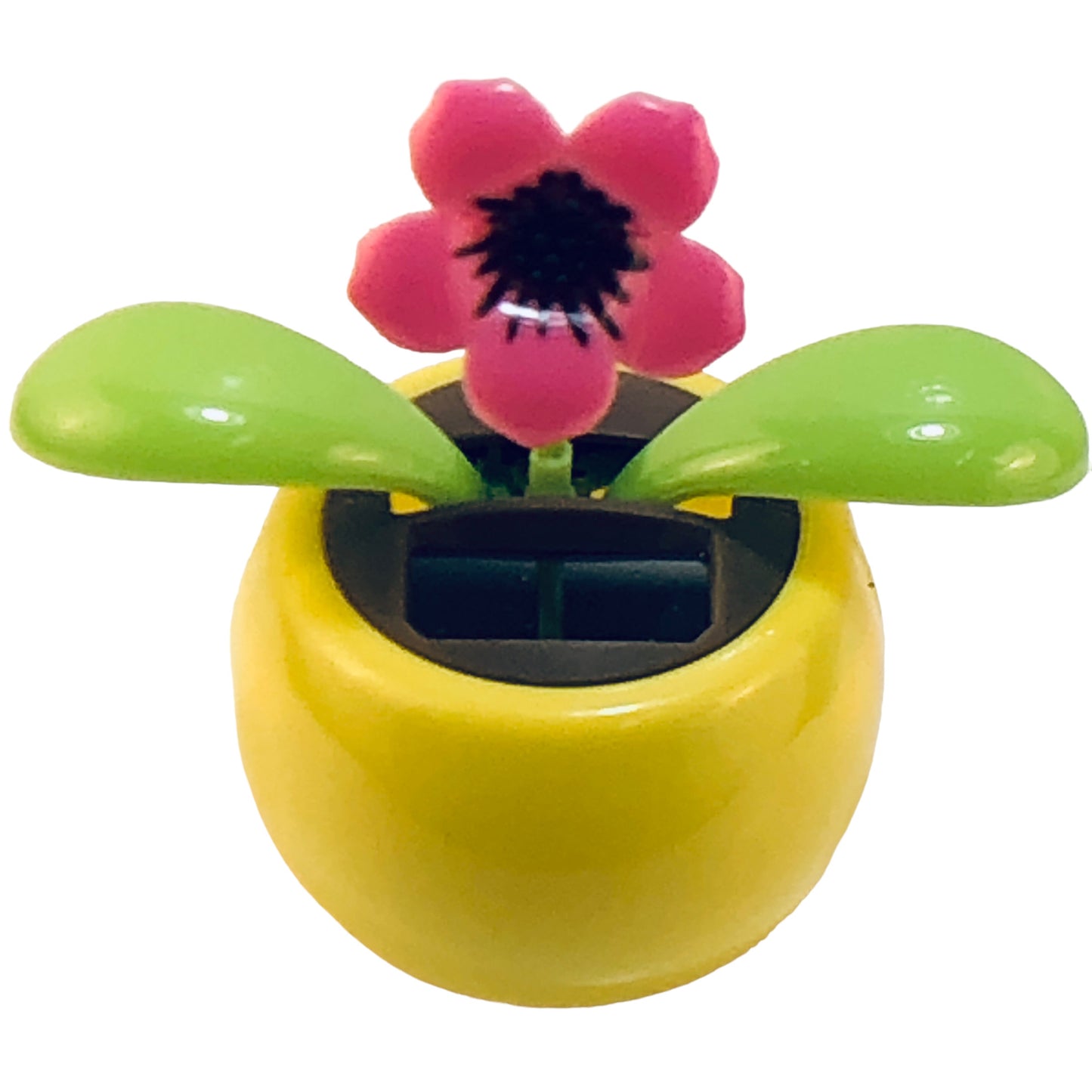 2312 - Solar Pink Flower Yellow Pot - |Pod 1-3|