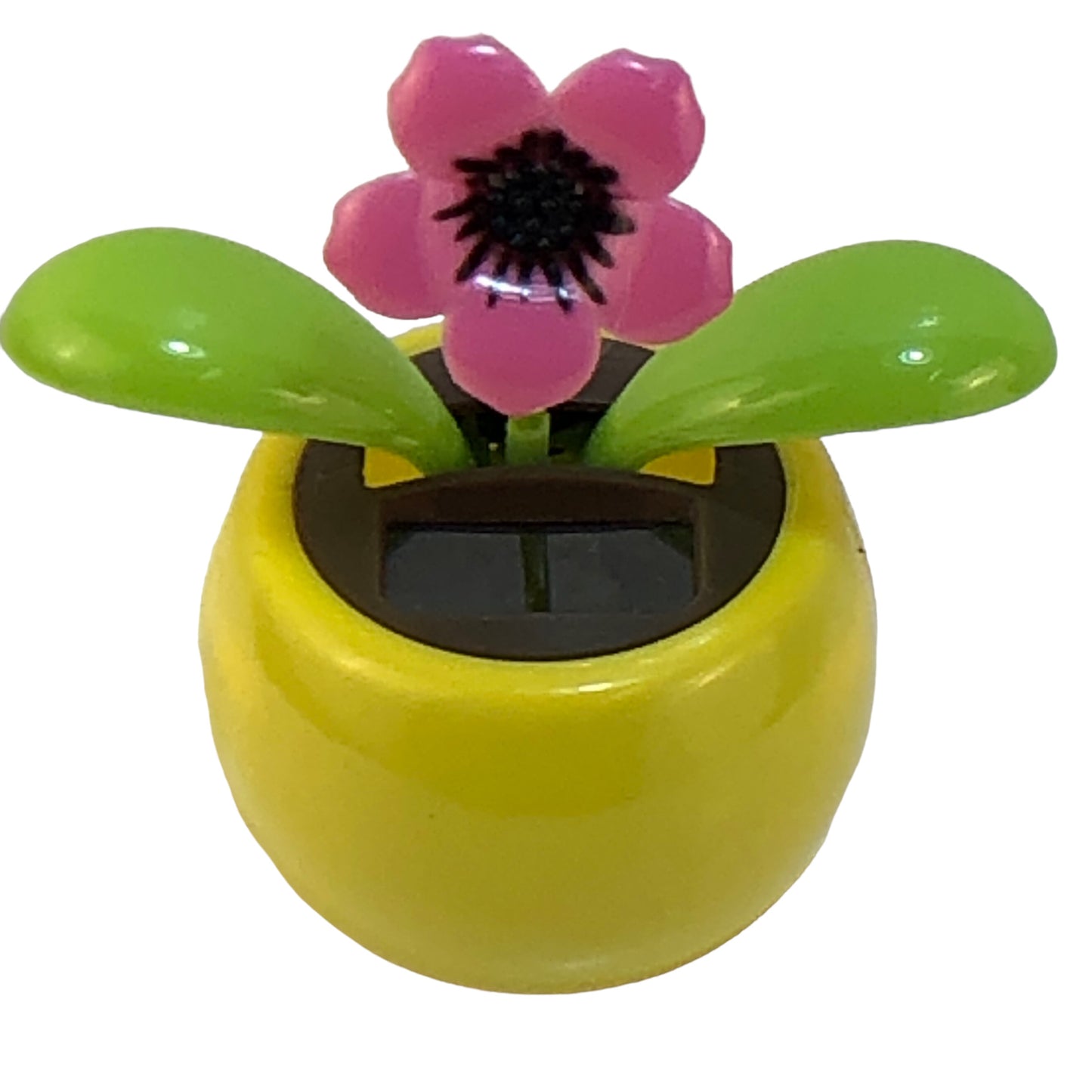 2312 - Solar Pink Flower Yellow Pot - |Pod 1-3|