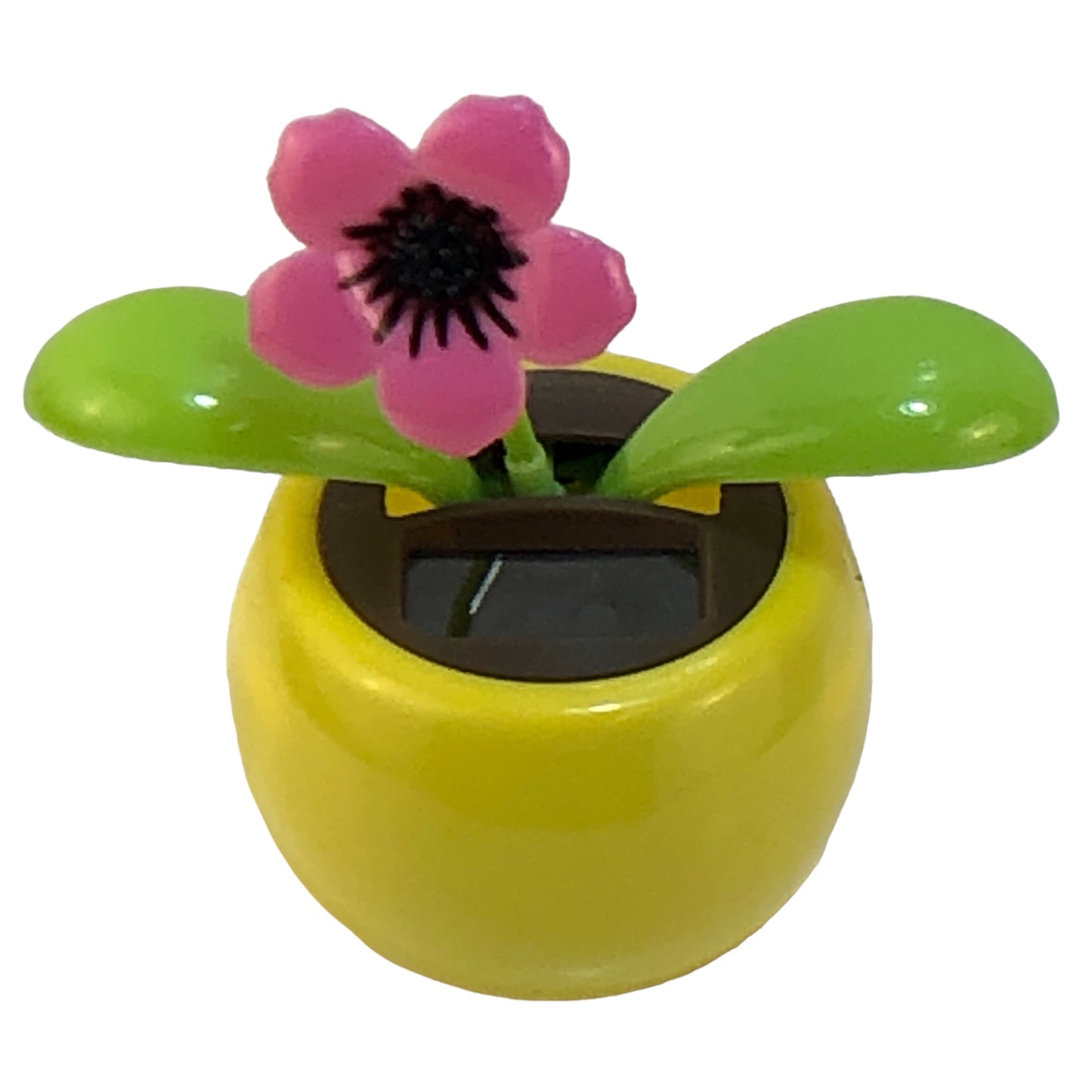 2312 - Solar Pink Flower Yellow Pot - |Pod 1-3|