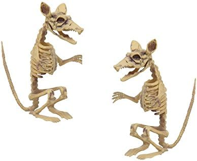 23409 - 2 Pack 7" Rat Skeleton (Natural) |FR/BH|