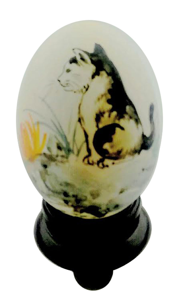 2482 - 3" Real Egghell - Kitten |14-19|