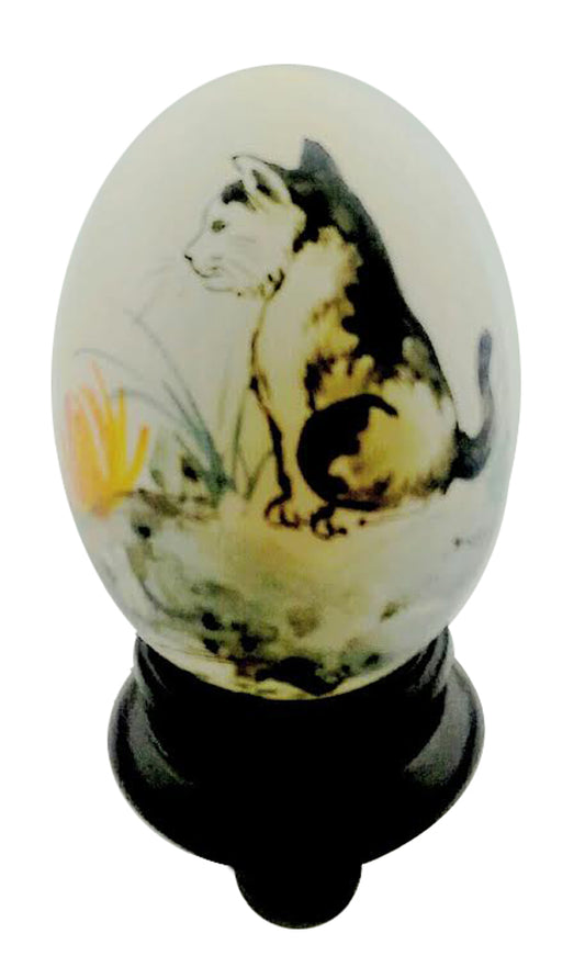 2482 - 3" Real Egghell - Kitten |14-19|