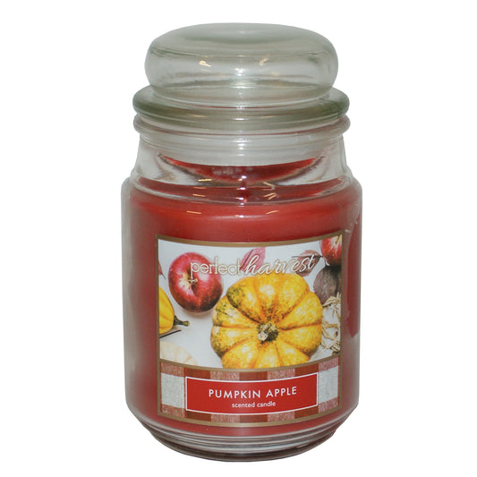 2575 - Fragrant Pumpkin and Apple Scented Candle for Cozy Autumn Home Fragrance |Scent 2|
