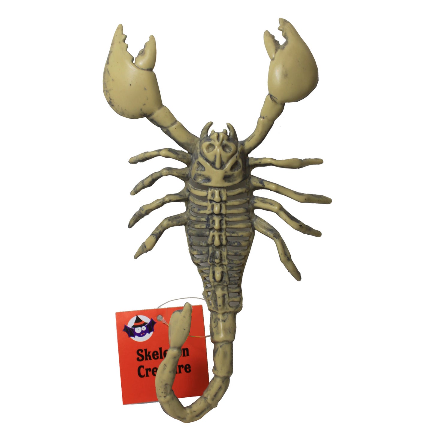 2650 - Set Of 4 9-Inch Scorpion Skeleton |Pod 1-2|
