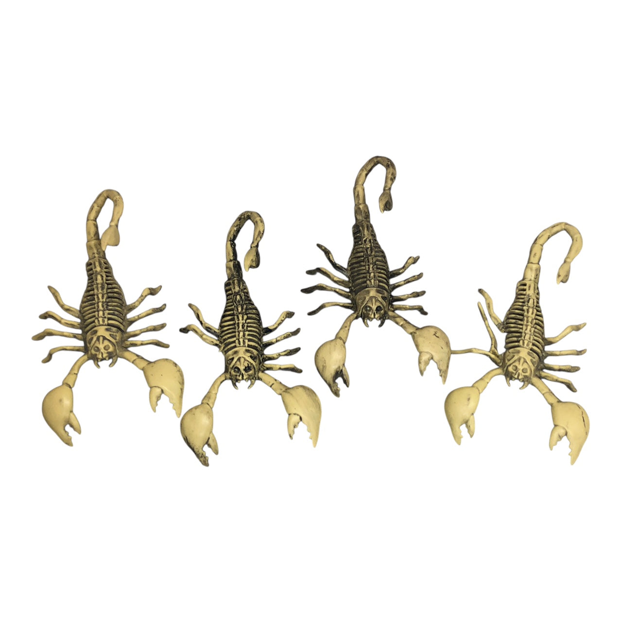 2650 - Set Of 4 9-Inch Scorpion Skeleton |Pod 1-2|