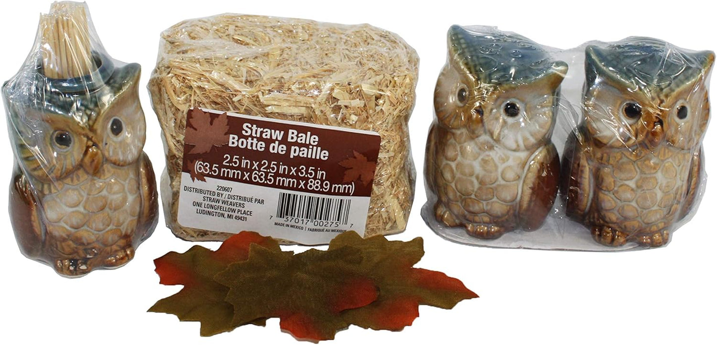 2657 - S&P & Toothpick Set - Blue Owl - |9-3|