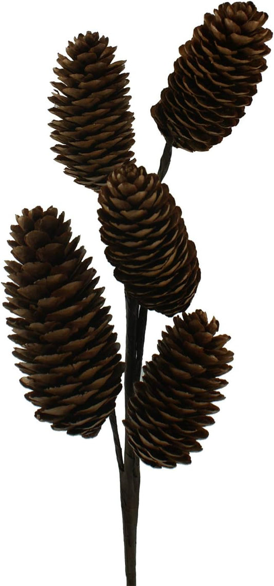 28285 - 16.5  Pinecone Fall Pick - [Pod 1-9]