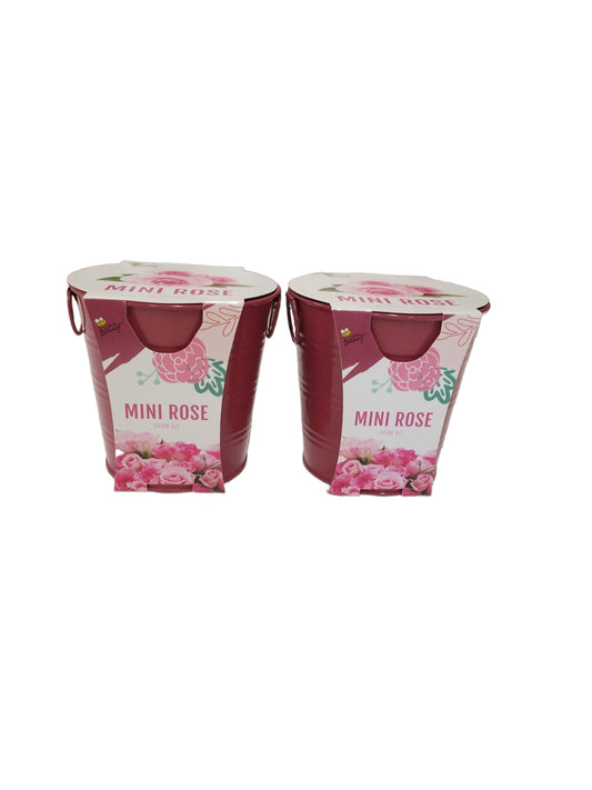 29571 - Buzzy Mini Rose Flower 2 Pack - |8-11/7-16|