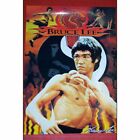 3051 - Iconic Bruce Lee The Life Of Vintage Art Poster With Dimensions 15 x 20 Inches |Art|