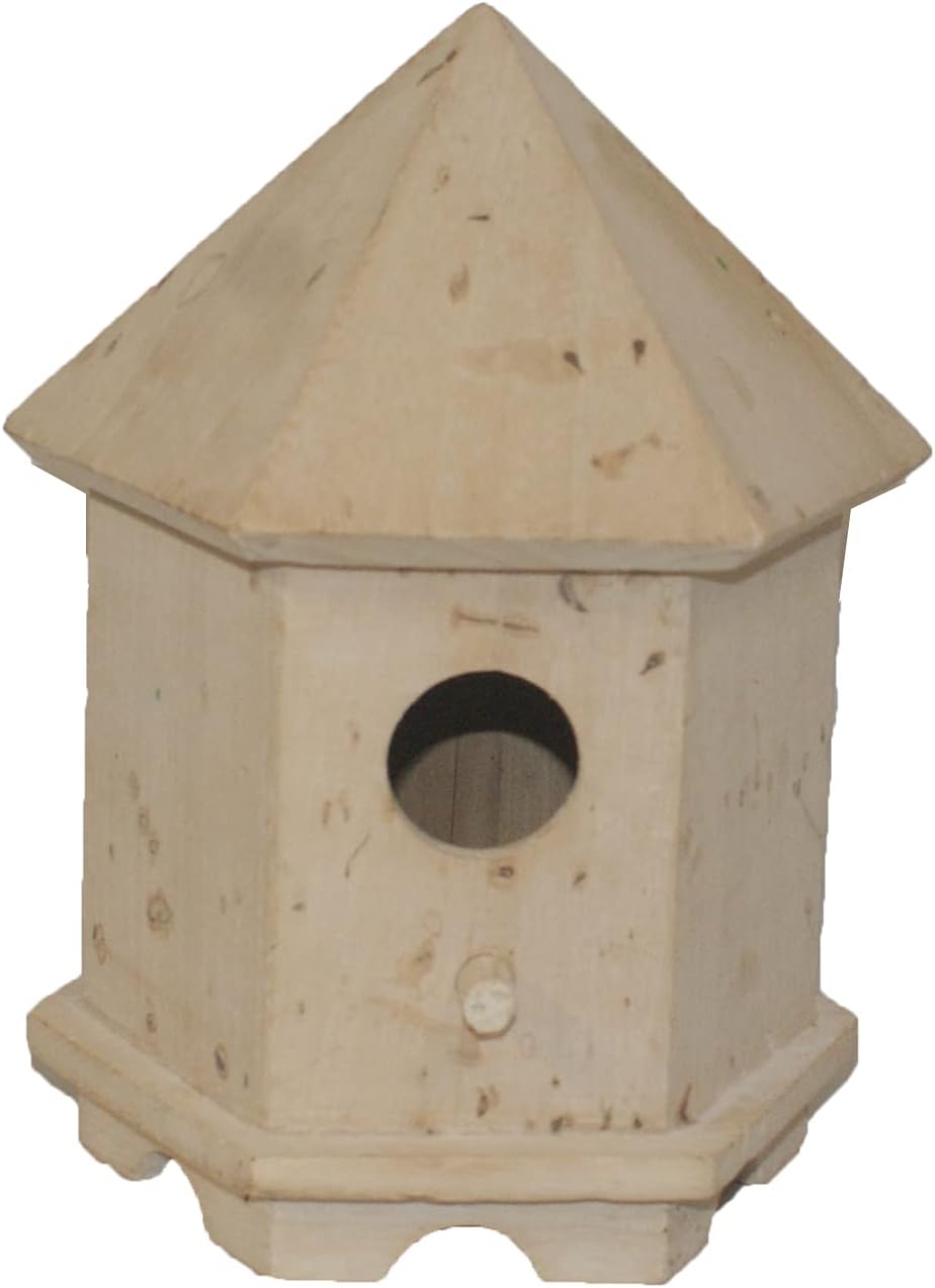 3077 - DIY Wood Birdhouse 9" |12-25|