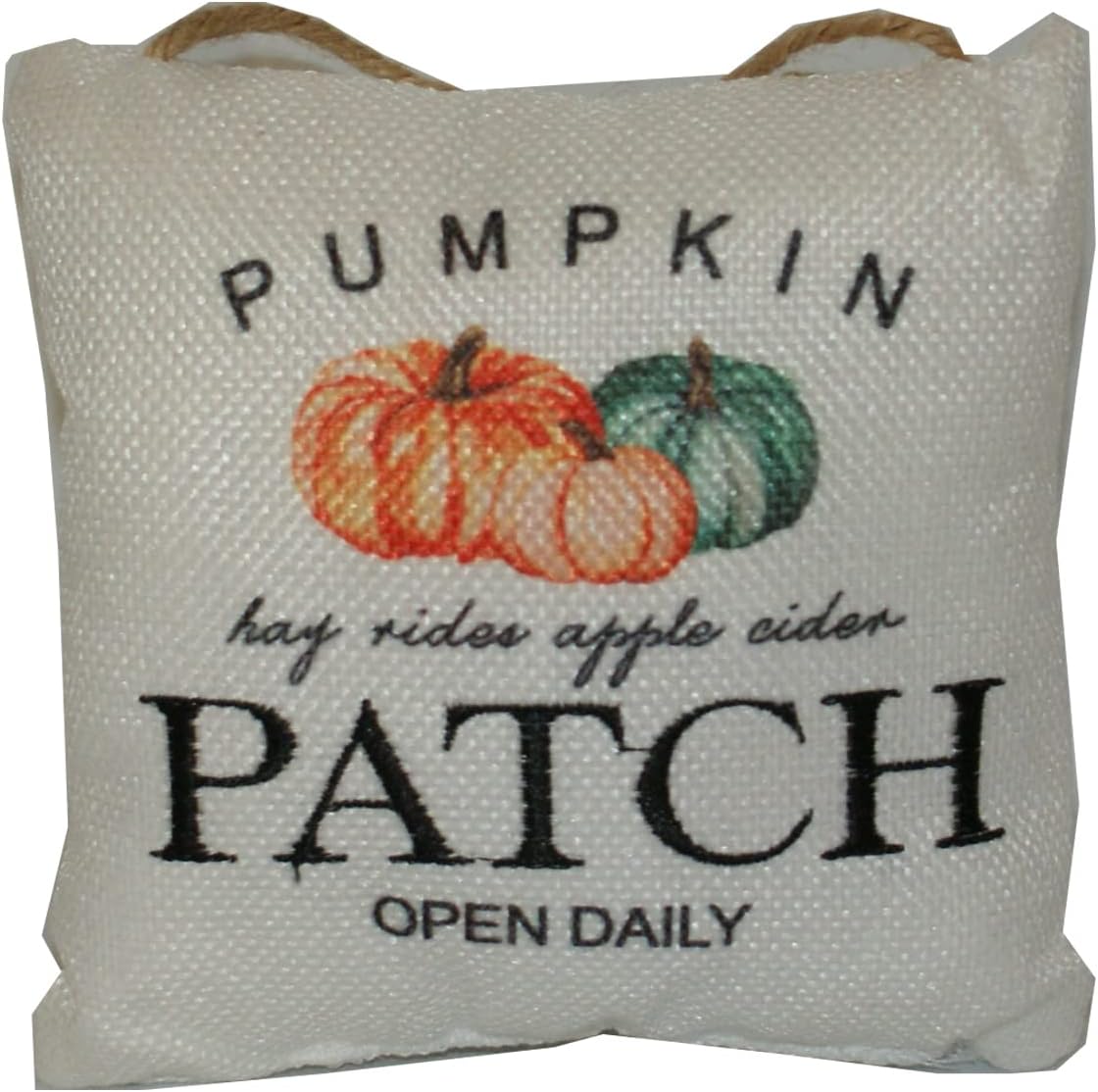 31476 - Pumpkin Patch Open Daily Decorative Autumn Seasonal Pillow with Vibrant Fall Designs |Pod 2-10|