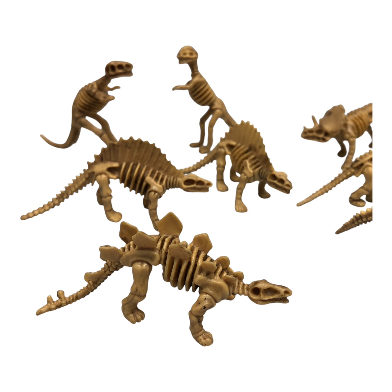 32046 - Mini Dinosaur Skeletons Set of 12 Pieces |Pod 1-2|