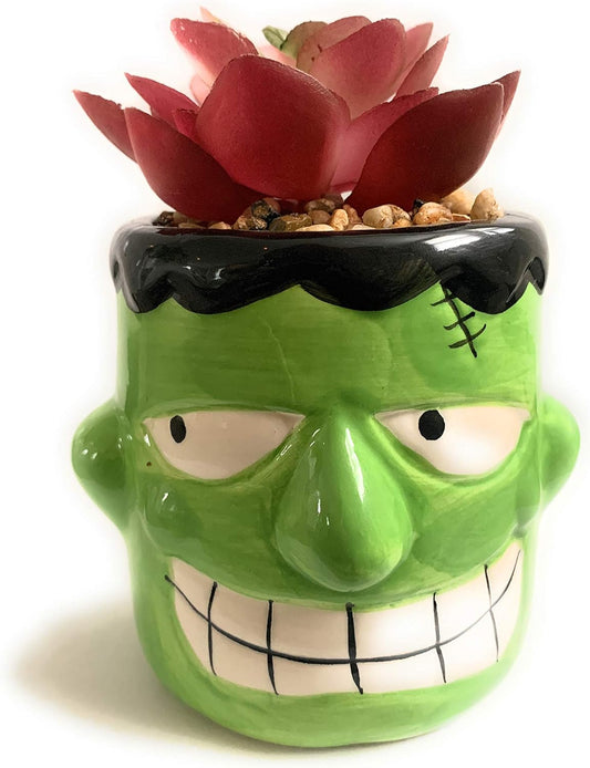 32072 - Frankenstein Planter Faux Succulent - [17-19]