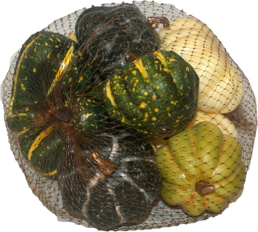 32447 - Fall Decor Squash & Pumpkins - [Pod 1-7]