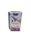 33196 - Buzzy Lavender Grow Kit Ceramic For Home Garden Planting And Cultivation |7-8|
