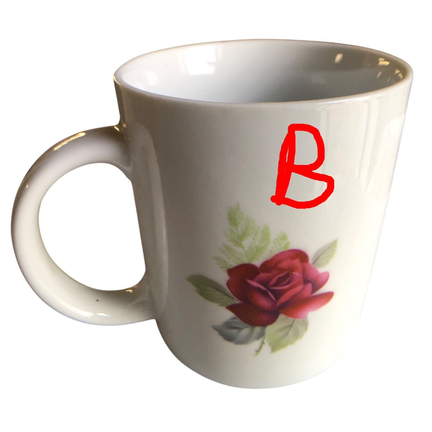 34271 - Don't Ever Give Up Dreams Mug 3" |7-28|