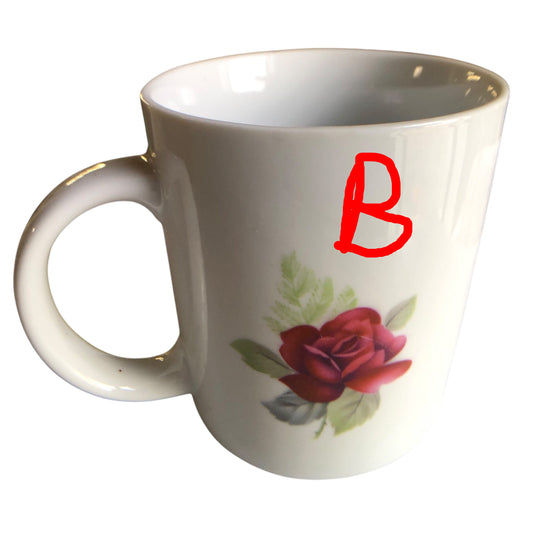 34271 - Don't Ever Give Up Dreams Mug 3" |7-28|