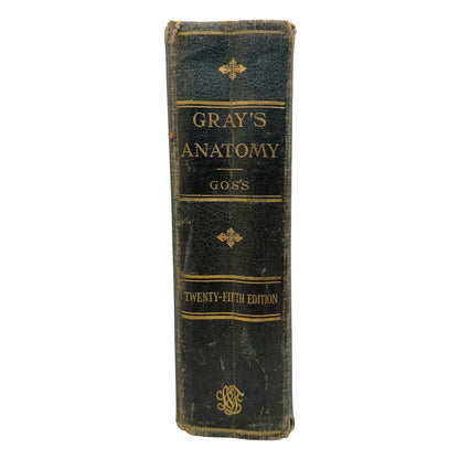 34327 - Anatomy of the Human Body 25th Edition Book |9-3|