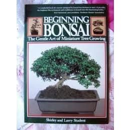 349 - Beginning Bonsai