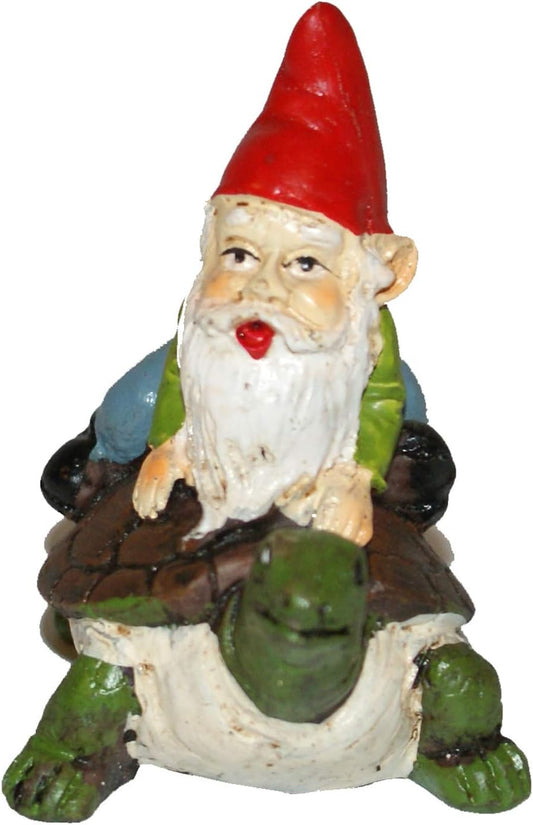3605 - 2.5" Color Gnome - On Turtle - |X-28|
