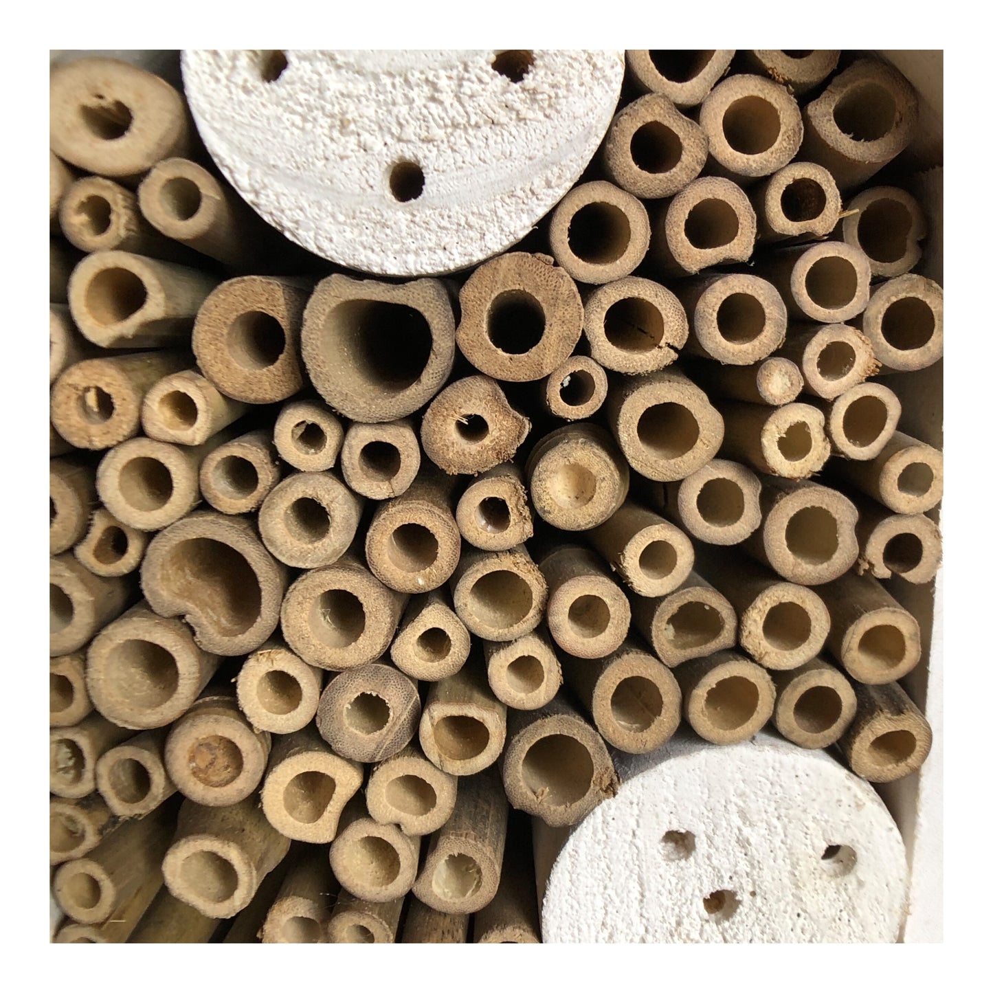 36566 - White Bee Garden House 9" |8-15|