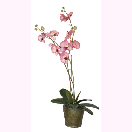 3793 - 20" Pink Orchid - Round Pot - |Case-10|