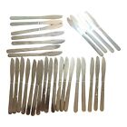 40161 - 29 Stainless Steel Knives - |H-49|