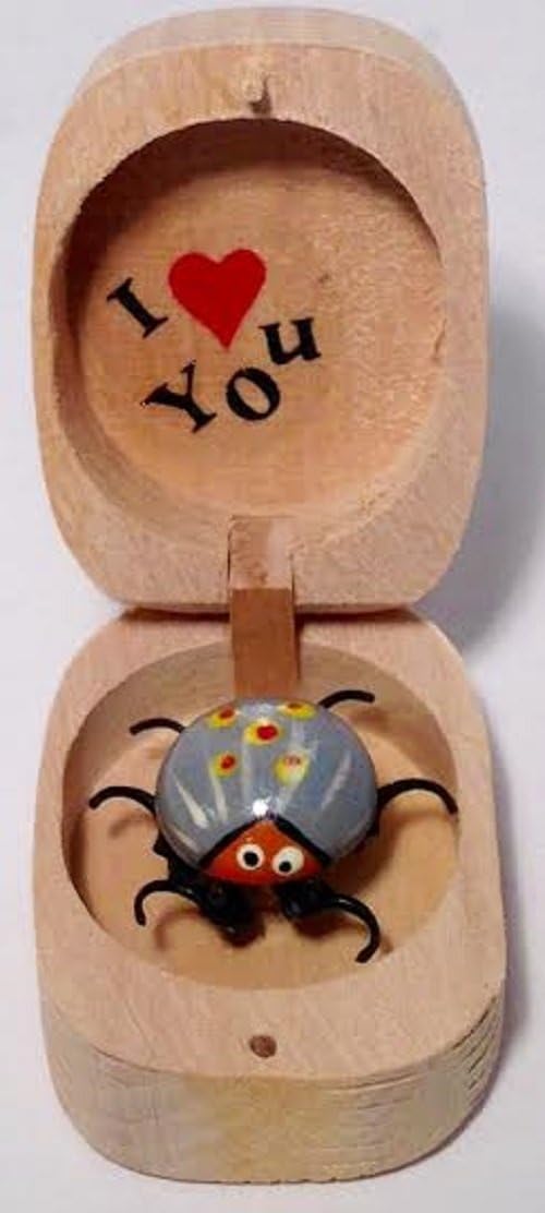 4089 - Grey Dancing Bug Wood Box - [Z-38]