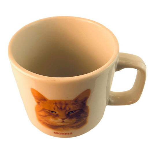 41605 - 3" Ginger Cat Morris Cup by Papel - |1-25|