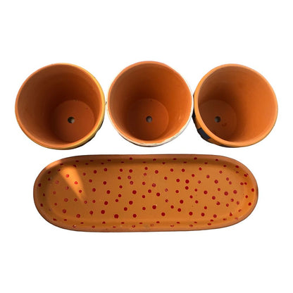 41677 - 3-3" Garden Terra Cotta Pots - |12-14|