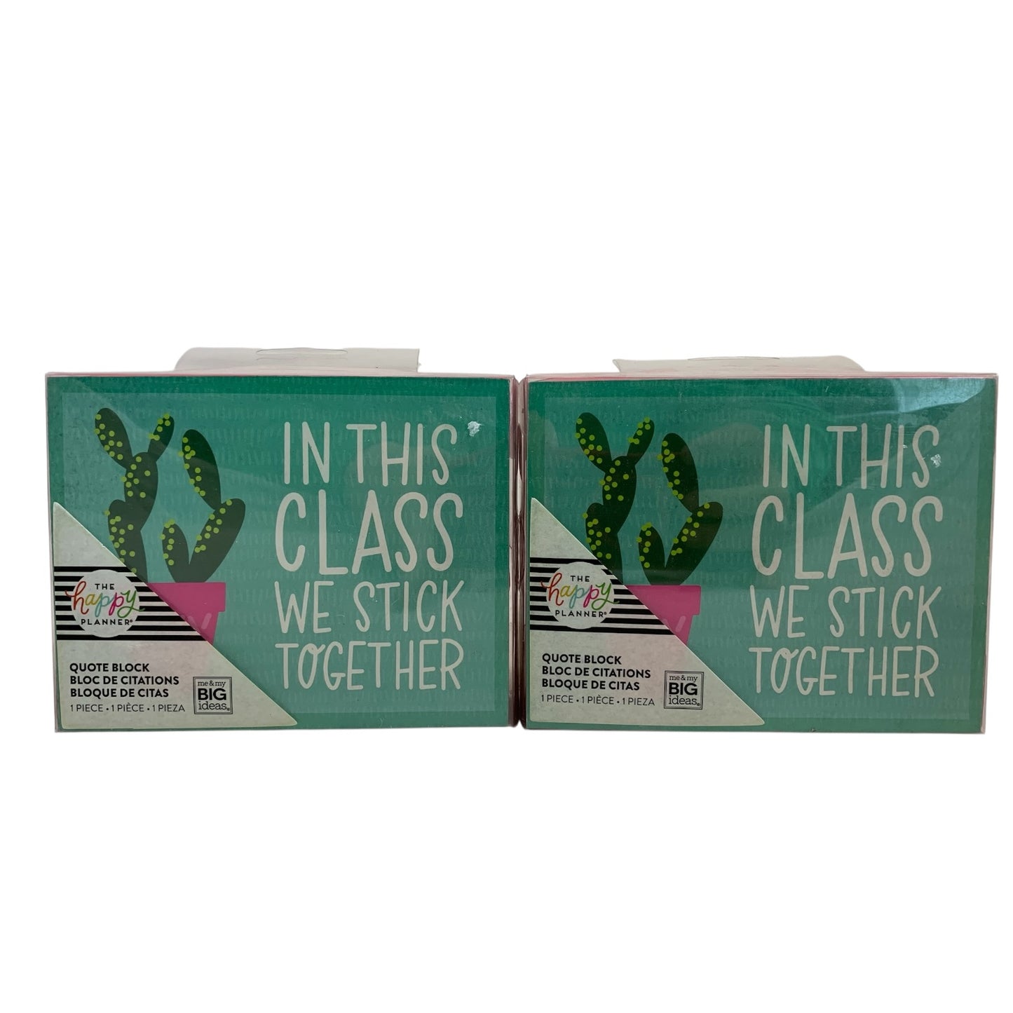 12666 - Set of Two in This Class We Stick Together Quote Box |TBD|