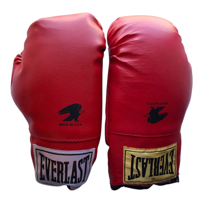 5297 - Boxing Gloves 12oz |GR-38|