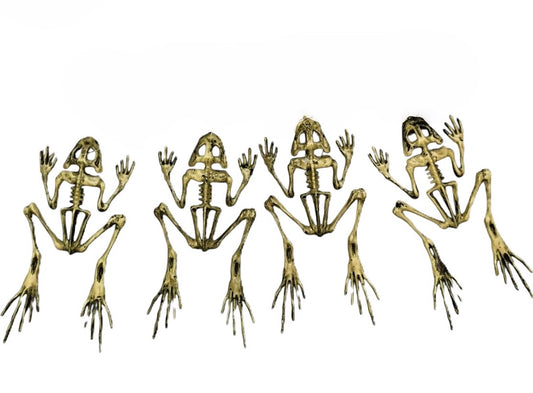 5436 - Set of 5 9-Inch Frog Skeletons for Home Decor |Pod 1-2|