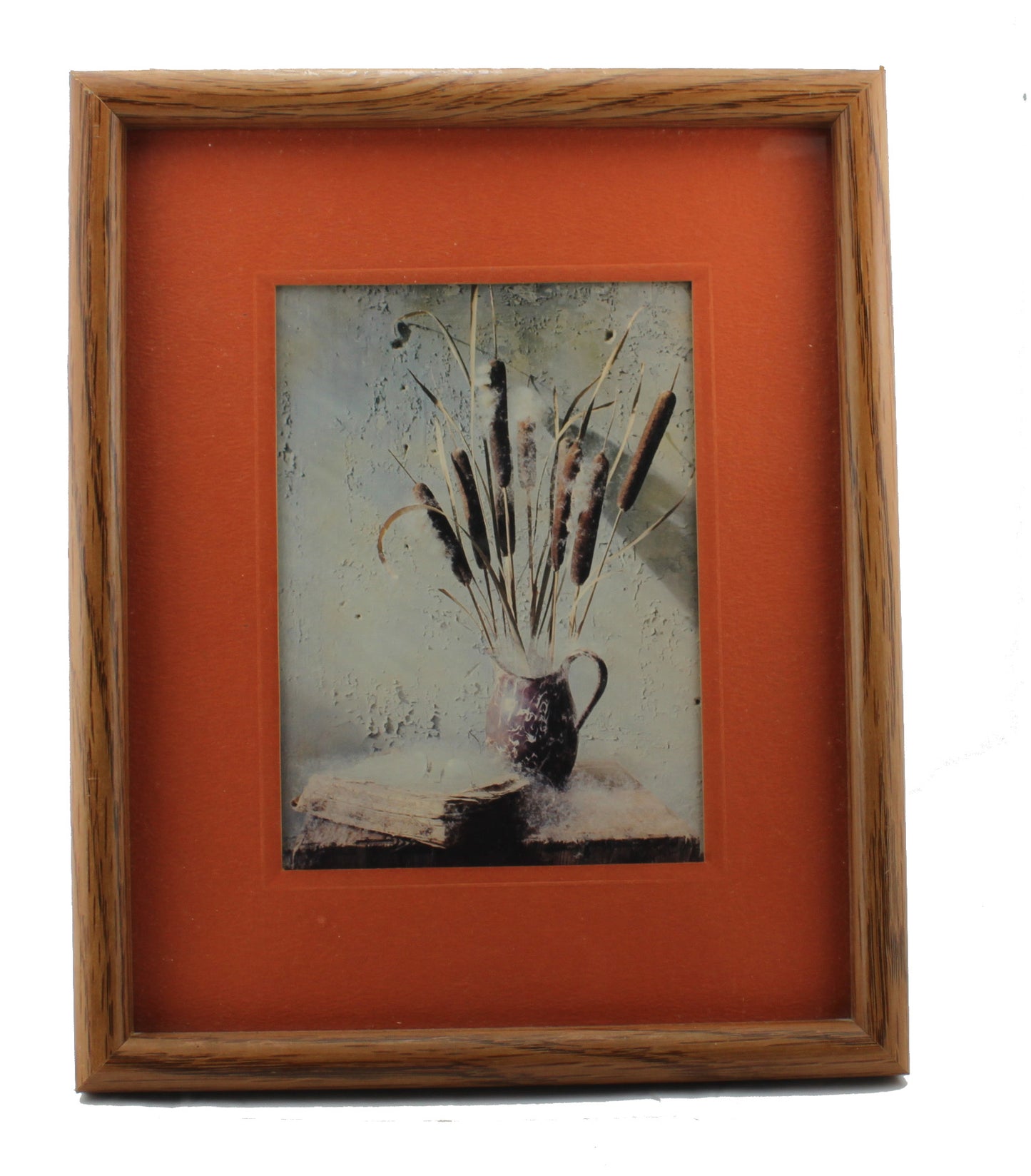 5670 - 8x10 Cat Tails Framed Print |16-21|