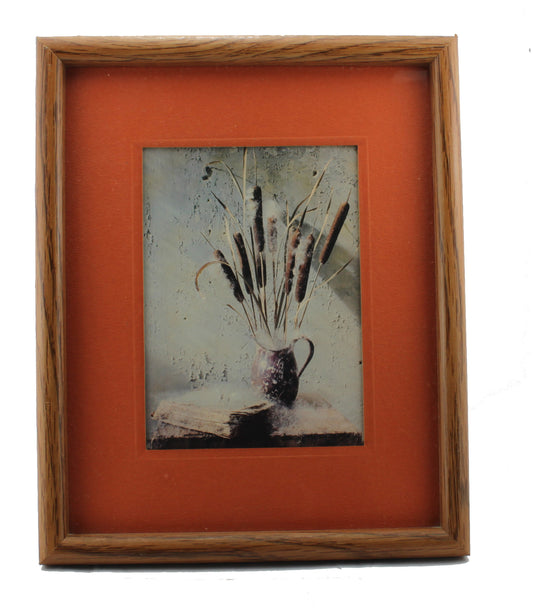 5670 - 8x10 Cat Tails Framed Print |16-21|