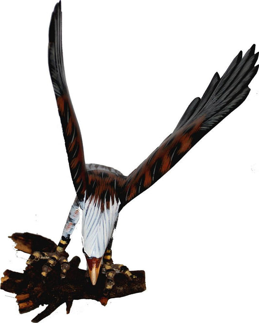 5729 - 7" Color Eagle - Flying Branch - |Z-04|