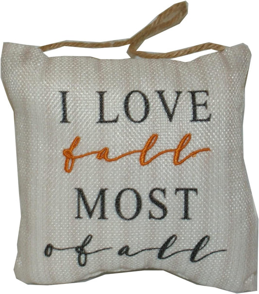 6154 - I Love Fall Most Door Pillow - [12-18]