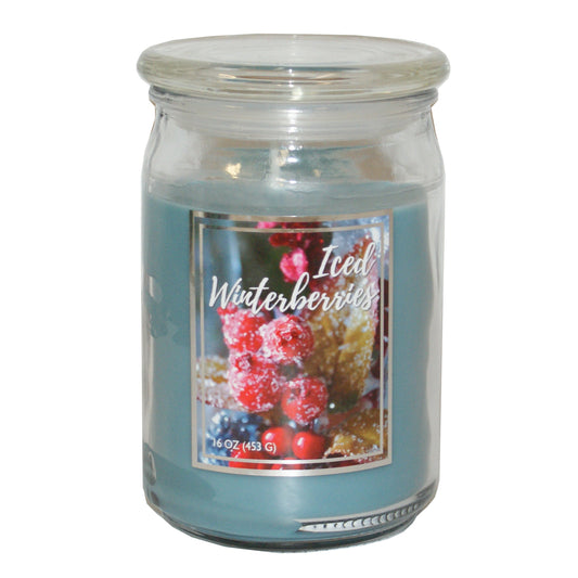 6486 - 16 oz Iced Winterberries Scented Candle for Winter Home Fragrance and Decor |Scent 4|