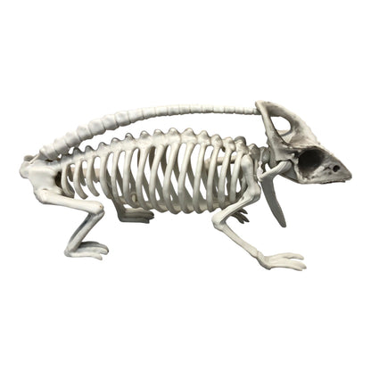 7071 - Plastic Lizard Skeleton Halloween Ornament |Pod 1-2|