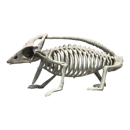 7071 - Plastic Lizard Skeleton Halloween Ornament |Pod 1-2|