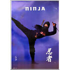 7505 - Vintage Poster of Ninja Weapons, 24x36 Inches |Coke Box|