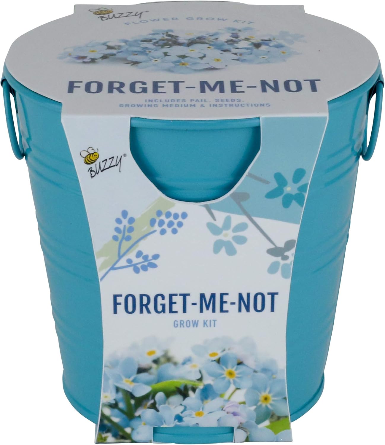7736 - Buzzy Forget Me Not Grow Kit [7-8]