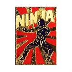7758 - Ninja in the Rising Sun Pin - |R-21 Floor|