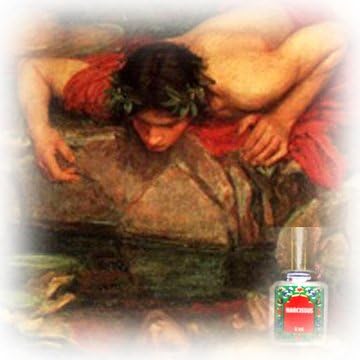 7767 - Attar Narcissus Fragrance 5 ml - |Scents-39|