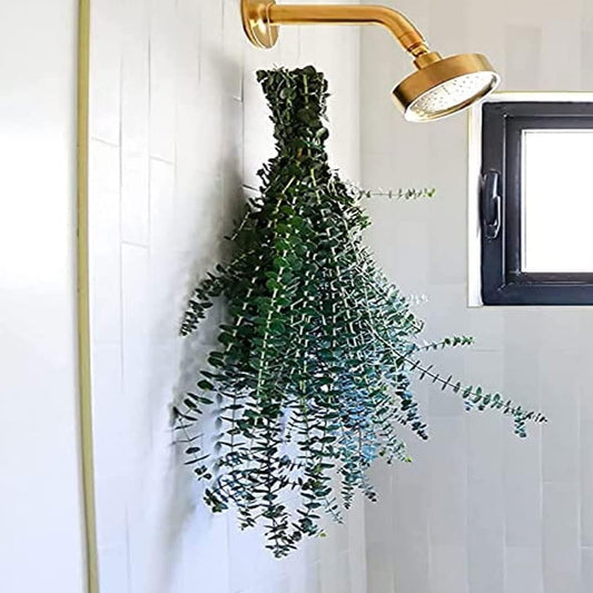 8651 13 Eucalyptus Shower Hanging Decor Spa Bath |FR-2|